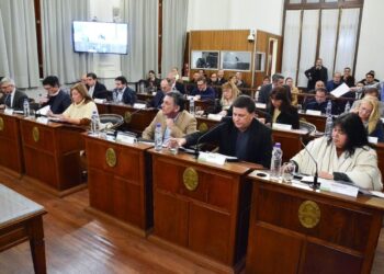 El Senado aprobó los pliegos del CGE y el acuerdo a Tepsich para el STJ