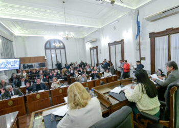 El Senado aprobó los pliegos del CGE y el acuerdo a Tepsich para el STJ