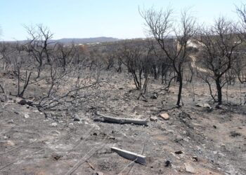 la Provincia de Córdoba declaró el desastre agropecuario por incendios