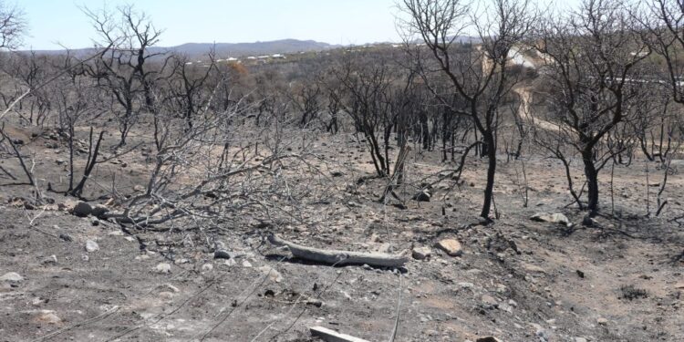 la Provincia de Córdoba declaró el desastre agropecuario por incendios