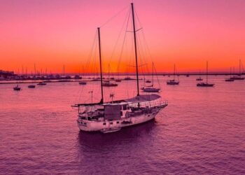 Senasa simplificó el sistema de control en bodegas de carga para exportación de granos