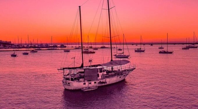 Senasa simplificó el sistema de control en bodegas de carga para exportación de granos