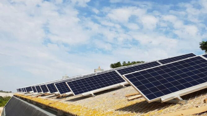 La empresa YPF coquetea con la industria avícola