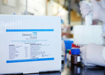 Preocupación por el Dengue