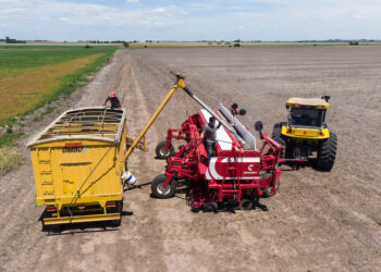 Campo “No son buenas”: alertan por un problema que se observa con la soja