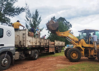 Reciclaje: Cuidando el Ambiente