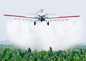 Organizaciones ambientalistas buscarán que se declare inconstitucional la Ley de Agroquímicos