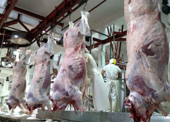 Tormenta perfecta: Se agravan los problemas en los frigoríficos