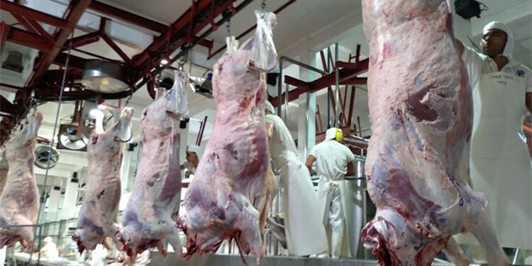 Tormenta perfecta: Se agravan los problemas en los frigoríficos