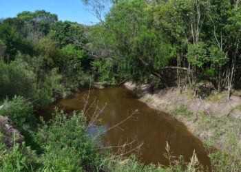 Se creó el Comité de Cuenca para sanear el Arroyo Las Tunas