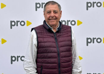 Sobre la casta, corrupción y otras yerbas