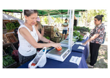 Paraná: La Feria en tu Barrio ofrece un Especial de Navidad