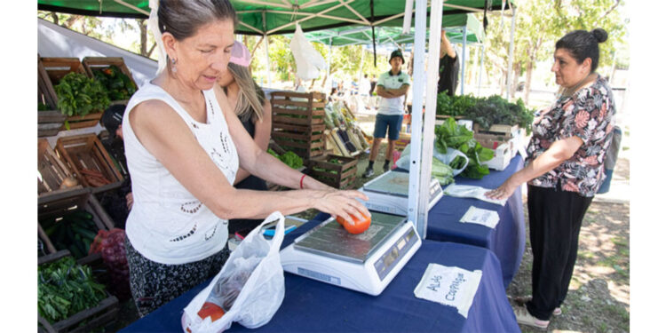 Paraná: La Feria en tu Barrio ofrece un Especial de Navidad