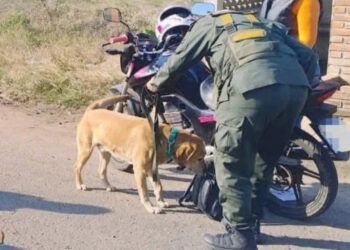 Gendarmería incautó fentanilo en la provincia