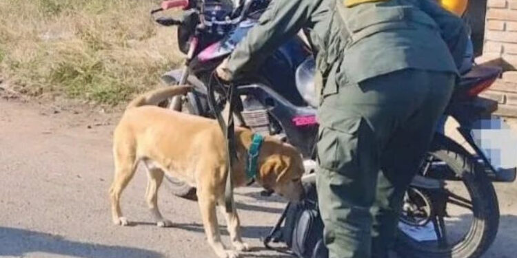 Gendarmería incautó fentanilo en la provincia