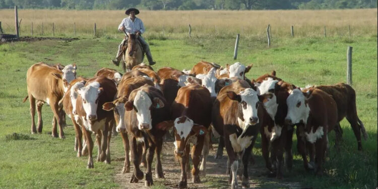 Milei busca eliminar la Ley del Peón Rural: «No va a quedar otra que salir a la calle»