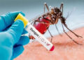 Ocho casos confirmados de Dengue en Entre Ríos