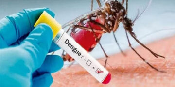 Ocho casos confirmados de Dengue en Entre Ríos
