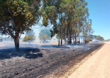 Colonia Ensanche Sauce, Federación: se registró un impactante incendio en un aserradero