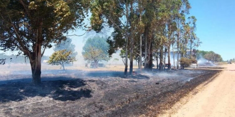 Colonia Ensanche Sauce, Federación: se registró un impactante incendio en un aserradero