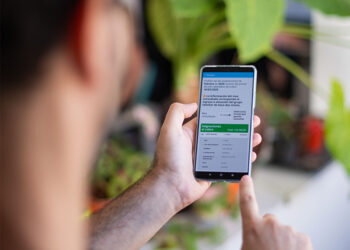 mi ANSES: ahora es posible acceder a todos los detalles del cobro de las asignaciones
