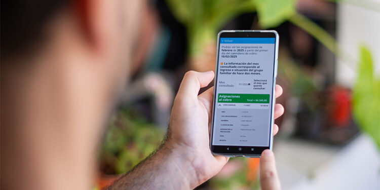 mi ANSES: ahora es posible acceder a todos los detalles del cobro de las asignaciones