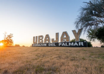 Colón: Investigación por un incidente en la Autovía José Gervasio Artigas