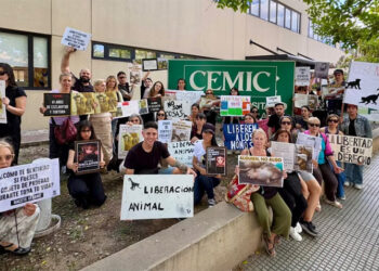 50 monos son usados para experimentos