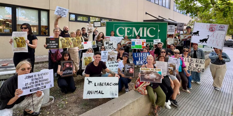 50 monos son usados para experimentos