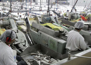 La industria pesquera pidió un tratamiento similar a las principales producciones agrícolas en materia retenciones