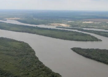 Aumentó la presencia de bacterias fecales en el río Uruguay