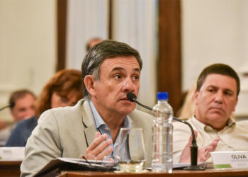 Oliva adelantó que no votarán el artículo que «blanquea» un impuesto irregular
