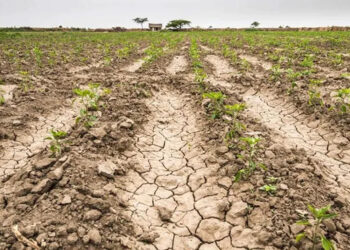 Entre Ríos: Preocupan las altas temperaturas y la prolongada sequía