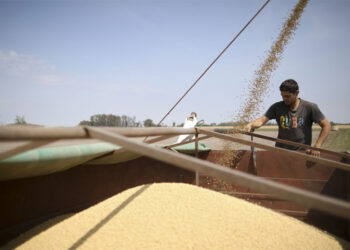 Otro gigante del agro defaultea una deuda, pese a la baja de retenciones