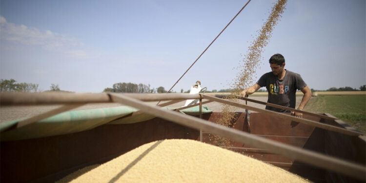 Otro gigante del agro defaultea una deuda, pese a la baja de retenciones