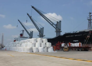 En 2024, las exportaciones de las economías regionales crecieron 23,8% en dólares y 25,7% en toneladas