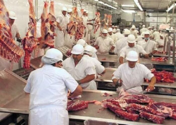 Las exportaciones de carne vacuna arrancaron el nuevo año con una fuerte caída y malas perspectivas para los próximos meses