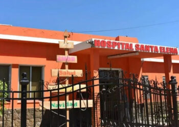 Santa Elena: un hombre falleció tras sufrir la picadura de una abeja