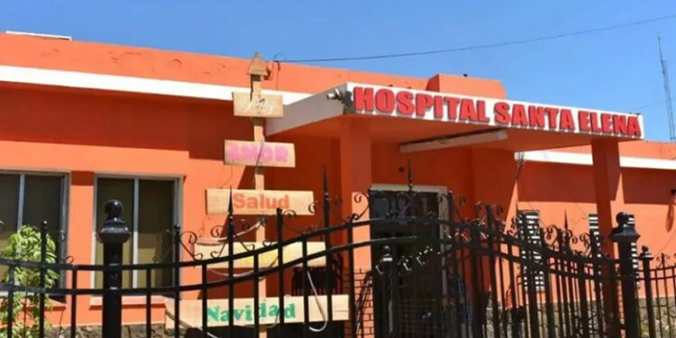 Santa Elena: un hombre falleció tras sufrir la picadura de una abeja