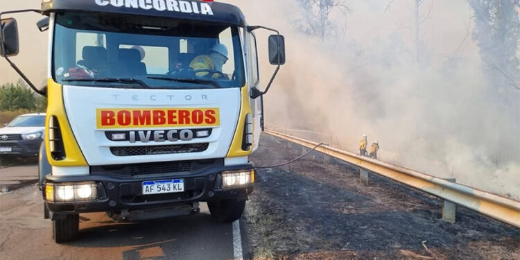 Nuevamente las llamas afectaron un tramo de la Ruta Nacional 14