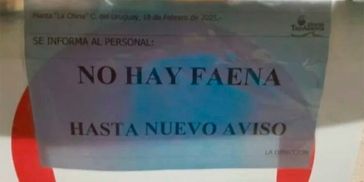 Granja avícola Tres Arroyos paralizó la faena y crece la incertidumbre en trabajadores