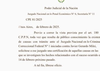 CriptoGate: la empresa detrás de $LIBRA no está inscripta para operar en el país
