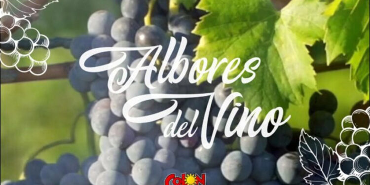 Colón: Se presentó oficialmente la 6° edición de Albores del Vino