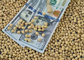 Llamado desesperado de Economía a las cerealeras para que liquiden
