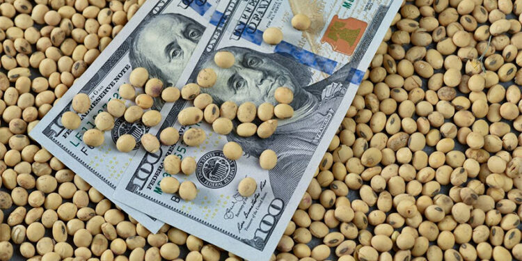 Llamado desesperado de Economía a las cerealeras para que liquiden