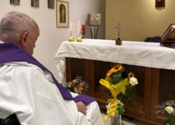 Difunden la primera imagen del papa Francisco desde su internación