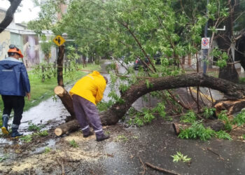 Paraná: La Municipalidad asiste a familias afectadas por la lluvia