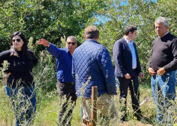 El Titular de la Dirección Provincial de Vialidad visitó Pueblo Liebig
