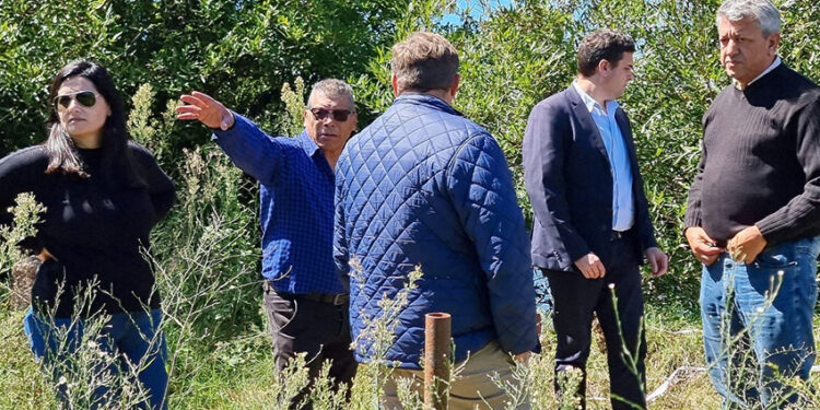 El Titular de la Dirección Provincial de Vialidad visitó Pueblo Liebig
