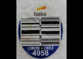 Paraguay sigue abriendo mercados para su fruta en la Argentina